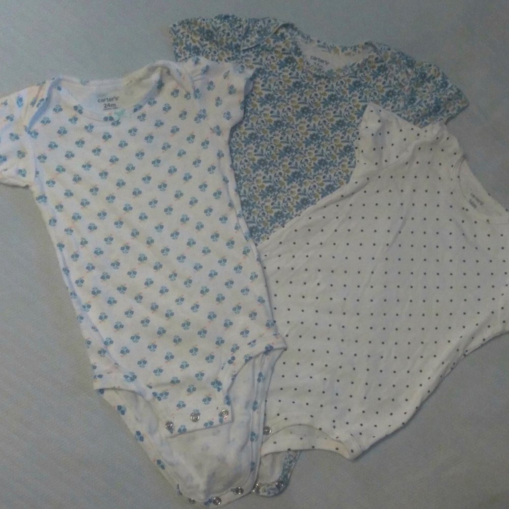 The 24 Month Onesies By Carter